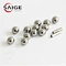 Stainless Steel Ball